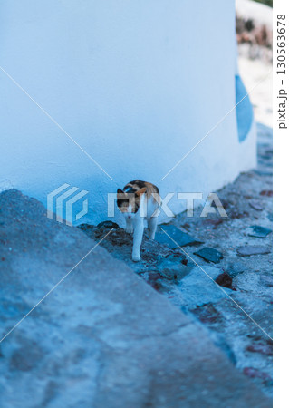 ギリシャのサントリーニ島の朝 ギリシャのサントリーニ島の朝 130563678