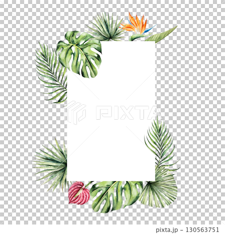 Monstera leaf frame, Strelitzia and red anthurium flowers template. Watercolor hand drawn palm areca, vibrant green tones. Isolated botanical illustration on transparent background. Perfect for Monstera leaf frame, Strelitzia and red anthurium flowers template. Watercolor hand drawn palm areca, vibrant green tones. Isolated botanical illustration on transparent background. Perfect for 130563751