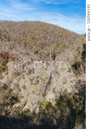 Strath Creek Falls View in Australia 130564143