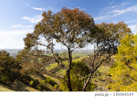 Murchison Gap Lookout View in Australia 130564147
