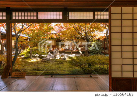 京都建仁寺 和室から眺める紅葉 京都の紅葉名所 日本庭園と紅葉の風景 京都最古の禅寺 京都観光名所 京都建仁寺 和室から眺める紅葉 京都の紅葉名所 日本庭園と紅葉の風景 京都最古の禅寺 京都観光名所 130564165
