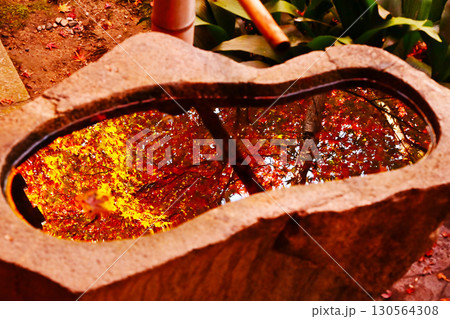 手水舎に映る紅葉の風景　京都建仁寺　京都の紅葉名所　日本庭園と紅葉の風景　京都最古の禅寺 130564308