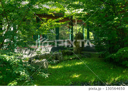 Beautiful Chinese garden with covered gallery in the summer Beautiful Chinese garden with covered gallery in the summer 130564650