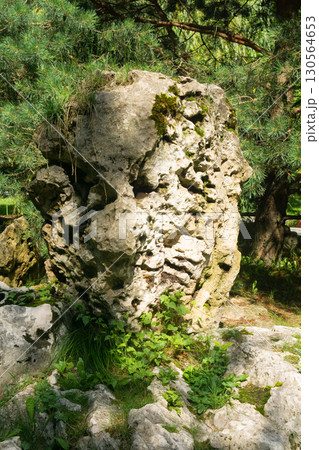 scholar rock in traditional Chinese garden scholar rock in traditional Chinese garden 130564653