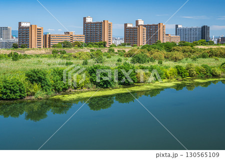 菅原城北大橋から望む淀川右岸のマンション群　大阪市 130565109