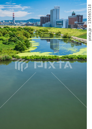 菅原城北大橋から望む城北ワンド 大阪市 菅原城北大橋から望む城北ワンド 大阪市 130565118