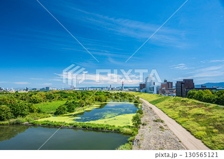 菅原城北大橋から望む城北ワンド 大阪市 菅原城北大橋から望む城北ワンド 大阪市 130565121