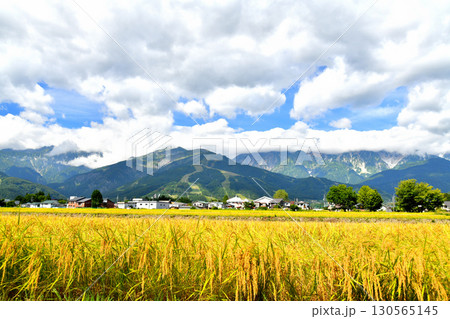 白馬村の風景／白馬八方尾根スキー場方面を望む(長野県白馬村)【2025.9】 130565145