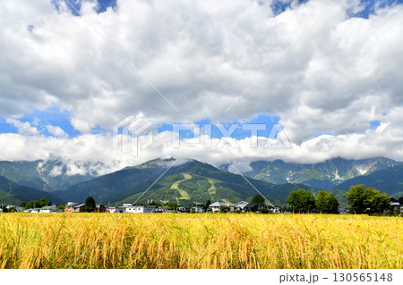 白馬村の風景／白馬八方尾根スキー場方面を望む(長野県白馬村)【2025.9】 130565148