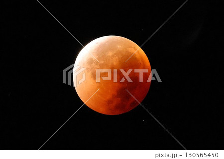 皆既月食2025 130565450