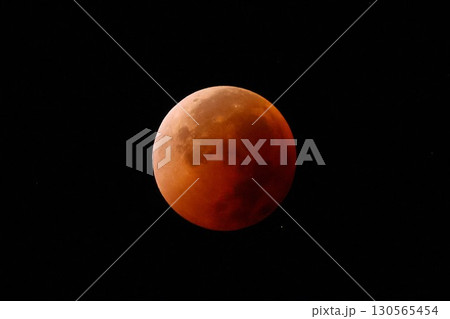 皆既月食2025 130565454