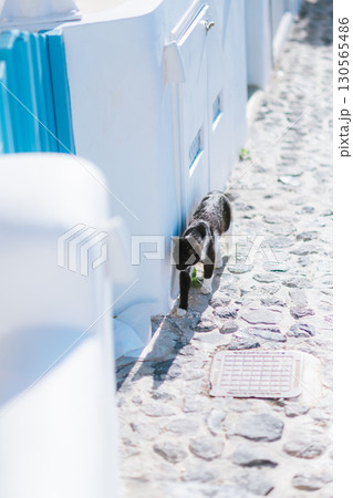 ギリシャのサントリーニ島の美しい朝 130565486