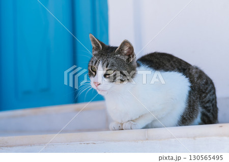 ギリシャのサントリーニ島の美しい朝 130565495