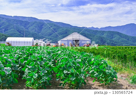 大豆畑　山形村 130565724