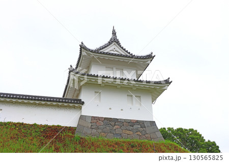 栃木県宇都宮市、宇都宮城の風景 130565825