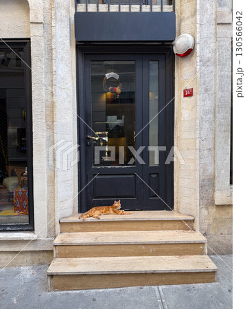 Orange cat lying on stone steps near a black door. Domestic presence, urban lifestyle, and casual everyday moments. Orange cat lying on stone steps near a black door. Domestic presence, urban lifestyle, and casual everyday moments. 130566042