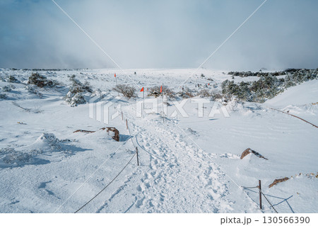 Snow-covered trail with red flags on Eorimok Trail, Hallasan, Jeju Island 130566390