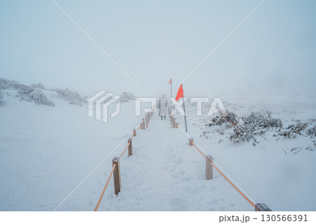 Hiker in fog on snowy Yeongsil Trail, Hallasan, Jeju Island, South Korea Hiker in fog on snowy Yeongsil Trail, Hallasan, Jeju Island, South Korea 130566391