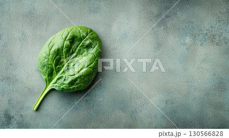 single spinach leaf with visible veins and natural texture neutral surface, creating minimalistic aesthetic with ample copy 130566828