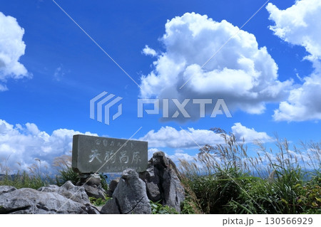 四国カルスト　晩夏の天狗高原　（高知県　津野町） 130566929