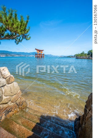 夏の宮島　厳島神社　鳥居 130567066