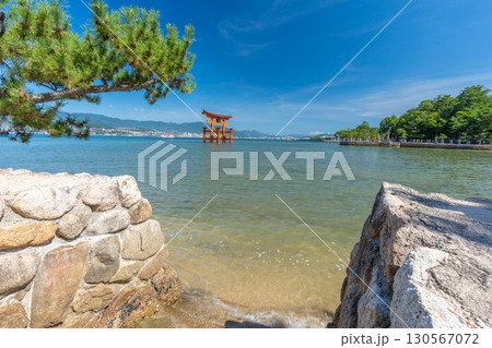 夏の宮島　厳島神社　鳥居 130567072