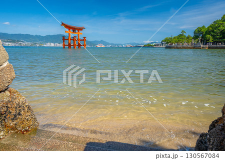 夏の宮島 厳島神社 鳥居 夏の宮島 厳島神社 鳥居 130567084