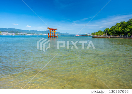 夏の宮島　厳島神社　鳥居 130567093