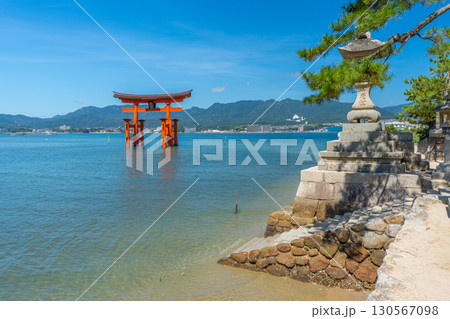 夏の宮島　厳島神社　鳥居 130567098
