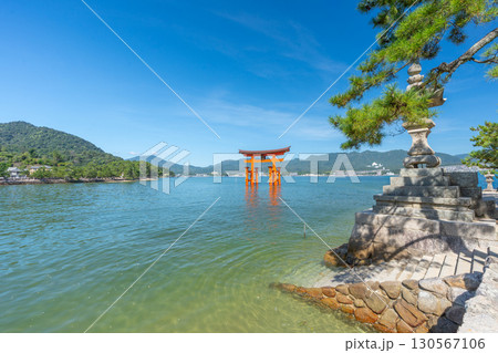 夏の宮島　厳島神社　鳥居 130567106