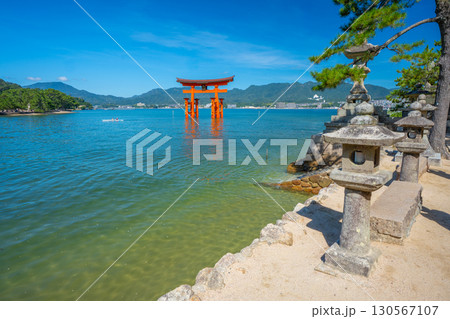 夏の宮島　厳島神社　鳥居 130567107