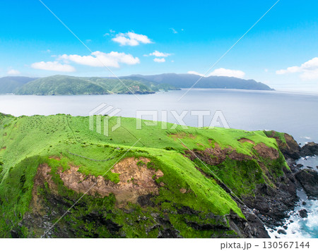 宮古崎 ササントウ(鹿児島県 奄美大島) 宮古崎 ササントウ(鹿児島県 奄美大島) 130567144