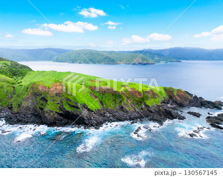 宮古崎 ササントウ(鹿児島県 奄美大島) 宮古崎 ササントウ(鹿児島県 奄美大島) 130567145