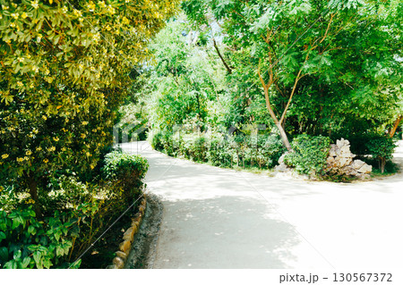 ギリシャのアテネの美しい風景 130567372