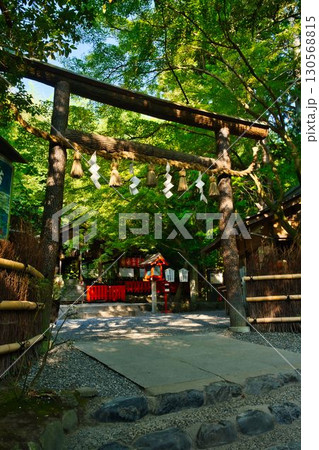 早朝の嵐山野宮神社 130568815