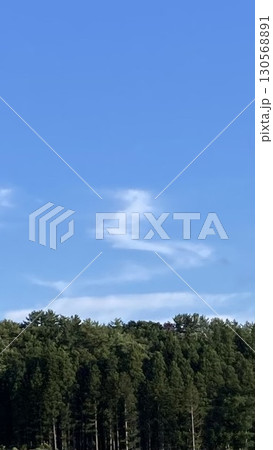 巳年　雲として現る 130568891