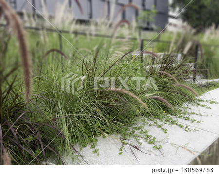 A colorful landscaped formal public garden A colorful landscaped formal public garden 130569283