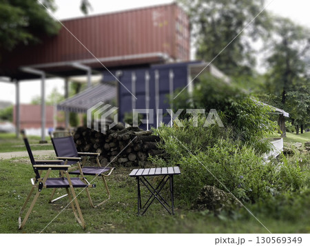 Relaxing view of plant and flower in summer garden 130569349