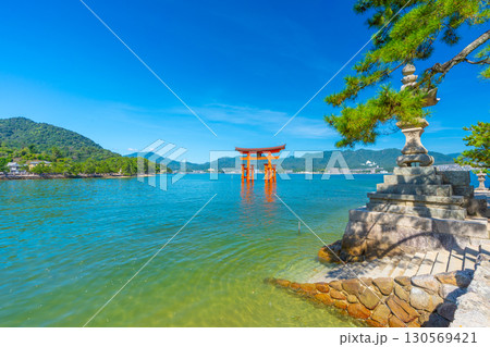 夏の宮島　厳島神社　鳥居 130569421