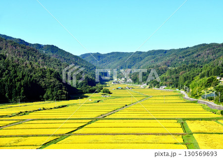 田野口の棚田周辺を望む(長野県長野市)【2025.9】 130569693