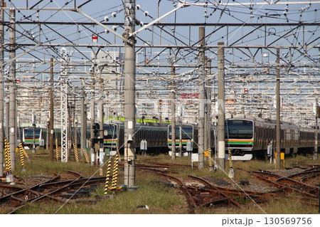 尾久車両センターに留置中の上野東京ラインE231系・E233系 130569756