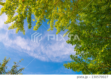秋空 130570027