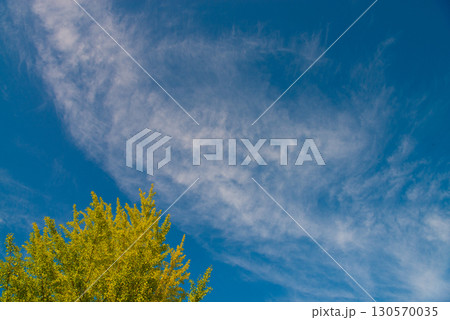 秋空 秋空 130570035