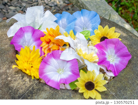 彩り豊かな夏の花(朝顔、ひまわり)を浮かべた花手水 彩り豊かな夏の花(朝顔、ひまわり)を浮かべた花手水 130570251