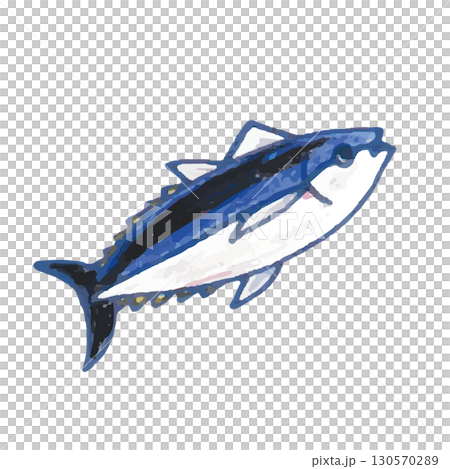 東北金槍魚的可愛插圖 130570289