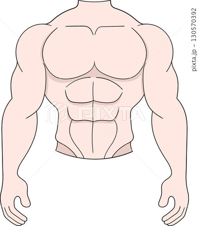 Muscular Male Torso Cartoon Illustration Muscular Male Torso Cartoon Illustration 130570392