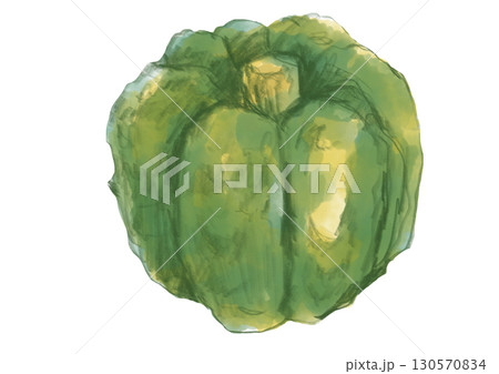 新鮮で美味しそうな秋の味覚カボチャの手描き水彩イラスト 新鮮で美味しそうな秋の味覚カボチャの手描き水彩イラスト 130570834