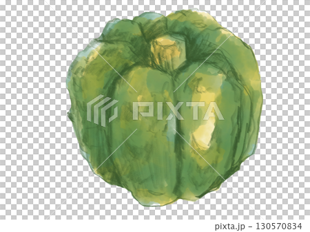 新鮮で美味しそうな秋の味覚カボチャの手描き水彩イラスト 新鮮で美味しそうな秋の味覚カボチャの手描き水彩イラスト 130570834