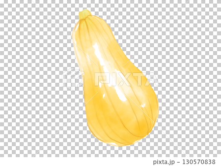 美味新鮮採摘的冬南瓜手繪水彩插圖 130570838