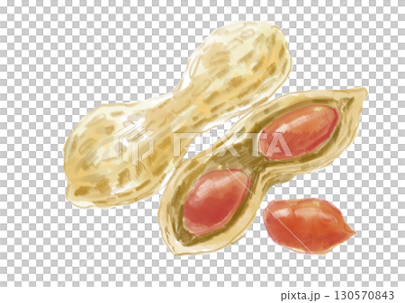 Hand-drawn watercolor illustration of delicious cracked peanuts and nuts Hand-drawn watercolor illustration of delicious cracked peanuts and nuts 130570843